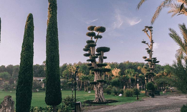 UZBAŞ ARBORETUM